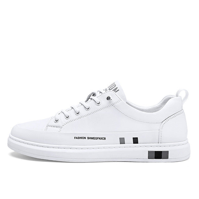 ELEGANTIEE | Turnschuhe aus echtem Leder ©